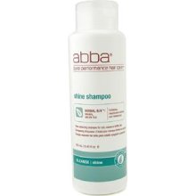 Shine Enhancing Shampoo ( For Dull Coarse or Brittle Hair )