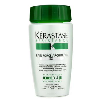 Resistance Bain Force Architecte Shampoo (For Brittle very Damaged Hair Split Ends) Kerastase Image
