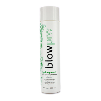 Hydra Quench Daily Hydrating Shampoo (Sulfate Free) BlowPro Image