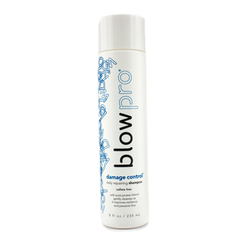 Damage Control Daily Repairing Shampoo (Sulfate Free) BlowPro Image