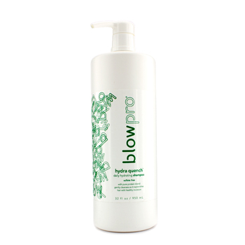 Hydra Quench Daily Hydrating Shampoo BlowPro Image