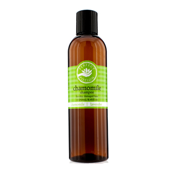 Chamomile Shampoo (For Dry Damaged Hair) Perfect Potion Image