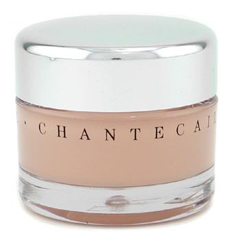 Future Skin Oil Free Gel Foundation - Ivory Chantecaille Image