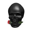 Ed Hardy Skulls & Roses For Him perfume