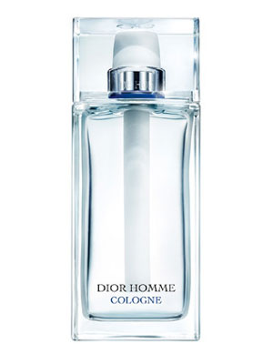 Dior Homme 2013 Christian Dior Image