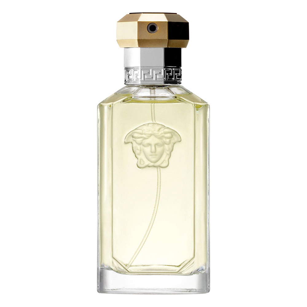 versace metal cologne