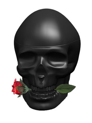 Ed Hardy Skulls & Roses For Him Christian Audigier Image