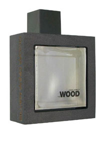He Wood Silver Wind Wood Dsquared2 Image