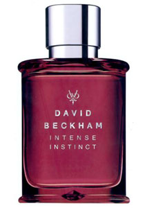 Intense Instinct David Beckham Image