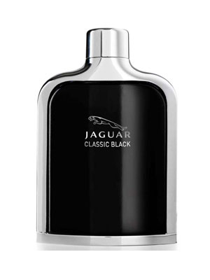Jaguar Classic Black Jaguar Image