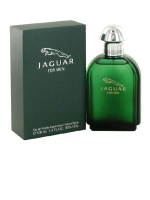 Jaguar Jaguar Image