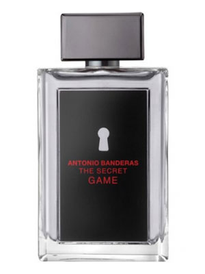 The Secret Game Antonio Banderas Image