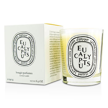 Scented Candle - Eucalyptus Diptyque Image