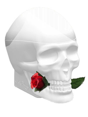 Ed-Hardy-Skulls-and-Roses-For-Her-Christian-Audigier
