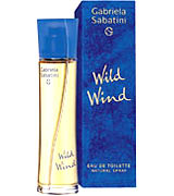 Sabatini Wild Wind Gabriela Sabatini Image