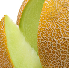 Honeydew Melon Scented Oil Me Fragrance Image