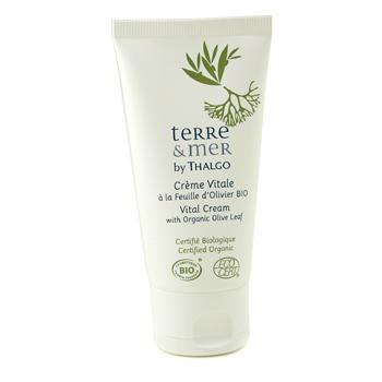 Terre & Mer Vital Cream with Organic Olive Leaf