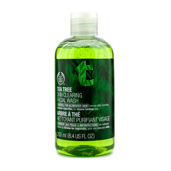 Tea Tree Skin Clearing Facial Wash (For Blemished Skin)
