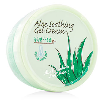 Aloe Soothing Gel Cream With Aloe Barbadensis Leaf Water SkinFood Image