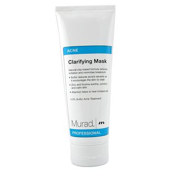 Clarifying Mask (Salon Size)