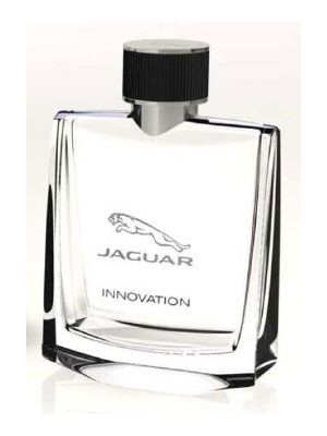 Jaguar Innovation Jaguar Image