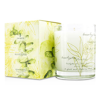 Aromatic Candle - Eucalyptus Thymes Image