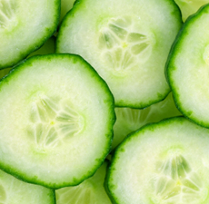Cucumber Scented Oil Me Fragrance Image