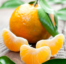 Tangerine-Essential-Oil-Me-Fragrance